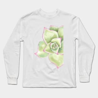 watercolor succulent echeveriamadiba Long Sleeve T-Shirt